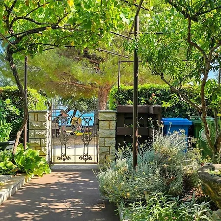 Vadnov A2 Новиград